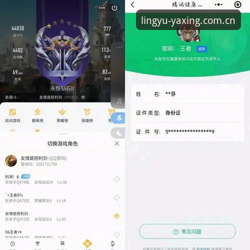 亚星质感坐标下载安卓版vs网页登录：哪个更适合你？